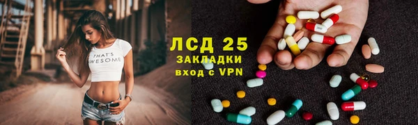 гашик Михайлов