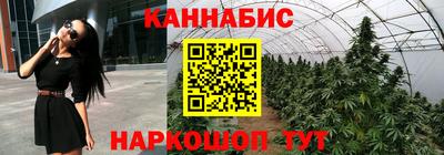 мет Дубна