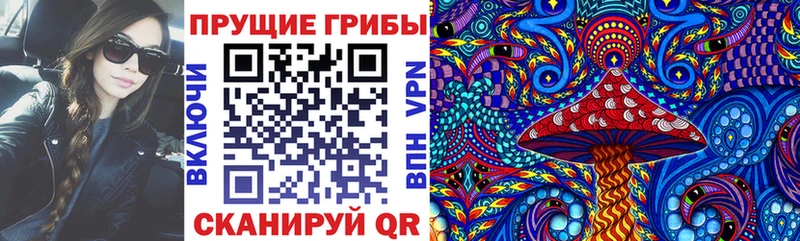 Галлюциногенные грибы MAGIC MUSHROOMS  где найти   Шадринск 