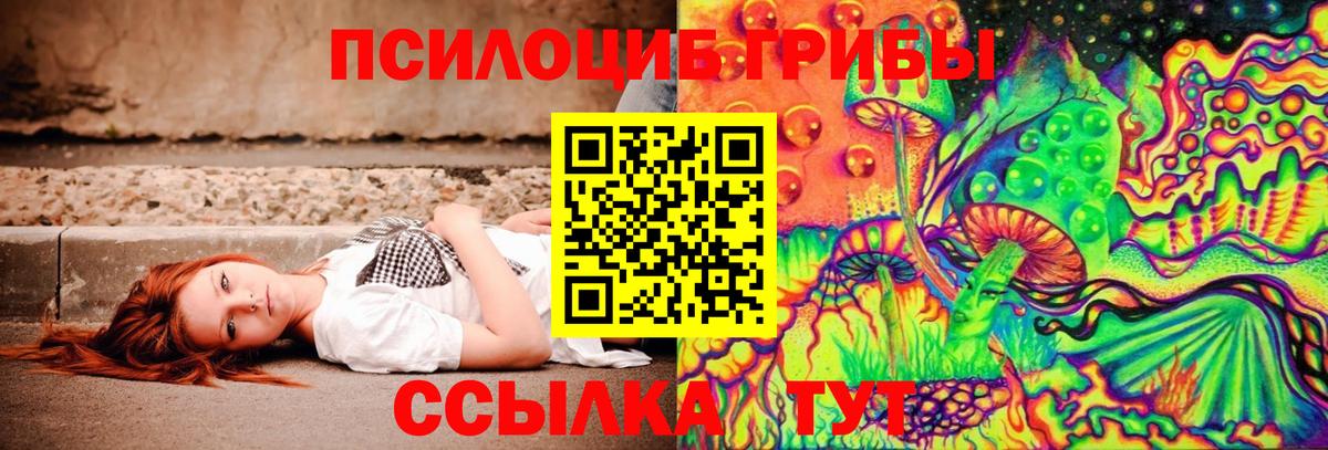 Галлюциногенные грибы прущие грибы Шадринск
