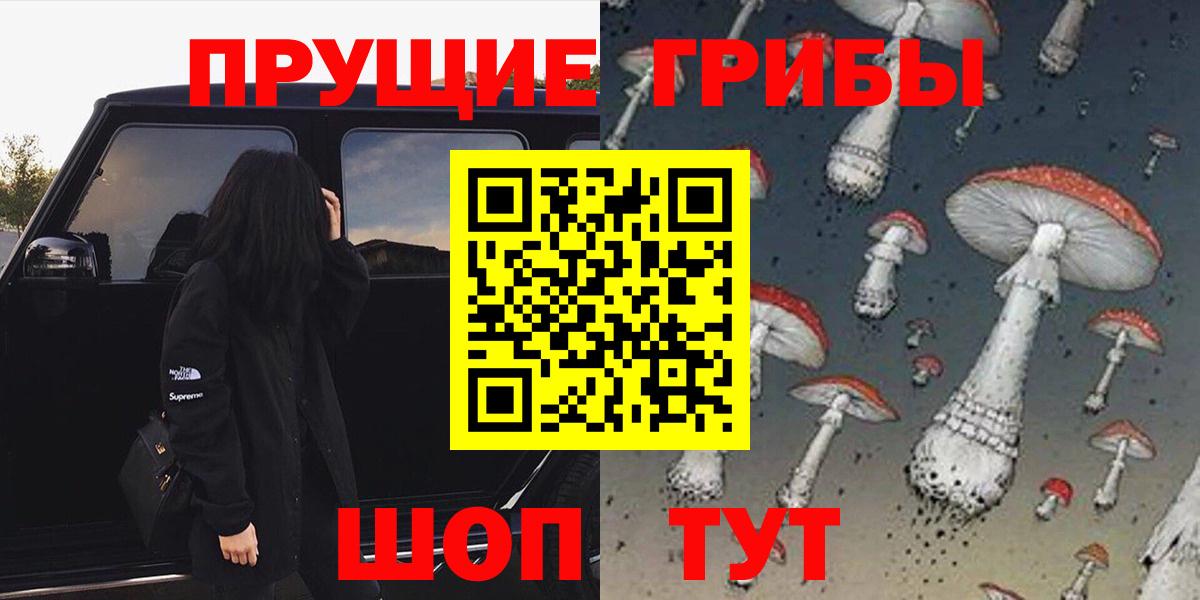 Галлюциногенные грибы прущие грибы  Вход с VPN  Шадринск 