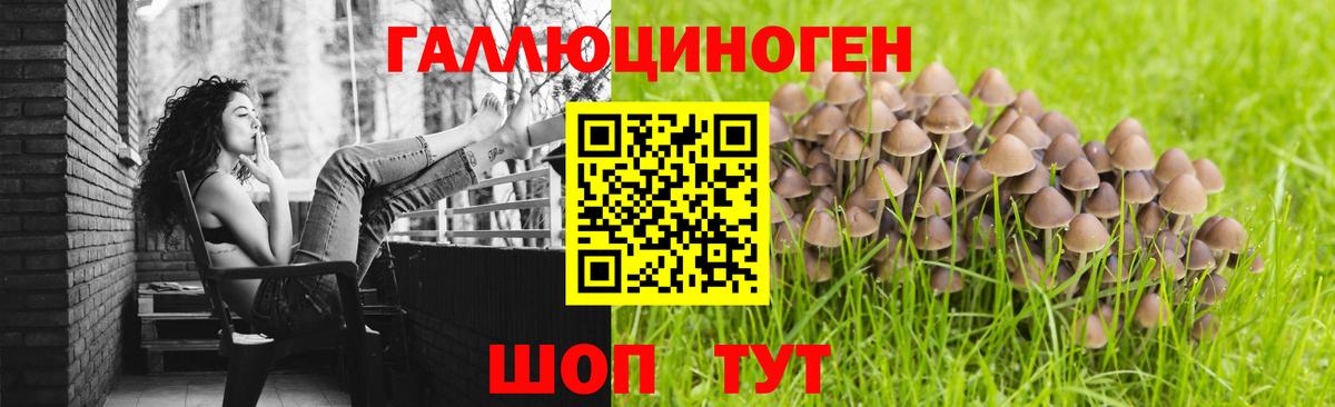 где можно купить   Шадринск  Псилоцибиновые грибы мицелий 