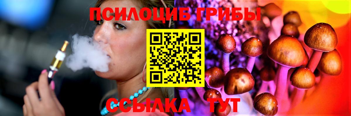 LSD-25  Конопля  Вход с VPN  Шадринск  Кокаин  CBD масло  Альфа ПВП  Купить наркоту  Хэш  Хэш  Марихуана  МЕФ 